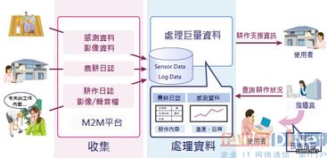 大數據處理技術的實戰應用與價值體現