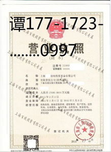 轉(zhuǎn)讓投資咨詢(xún)公司多少錢(qián)？深度解析轉(zhuǎn)讓與咨詢(xún)服務(wù)的關(guān)鍵因素